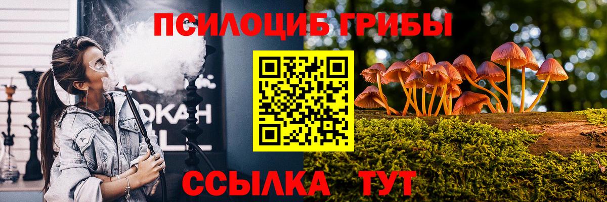 Псилоцибиновые грибы GOLDEN TEACHER  Вход с VPN  Сосновый Бор 