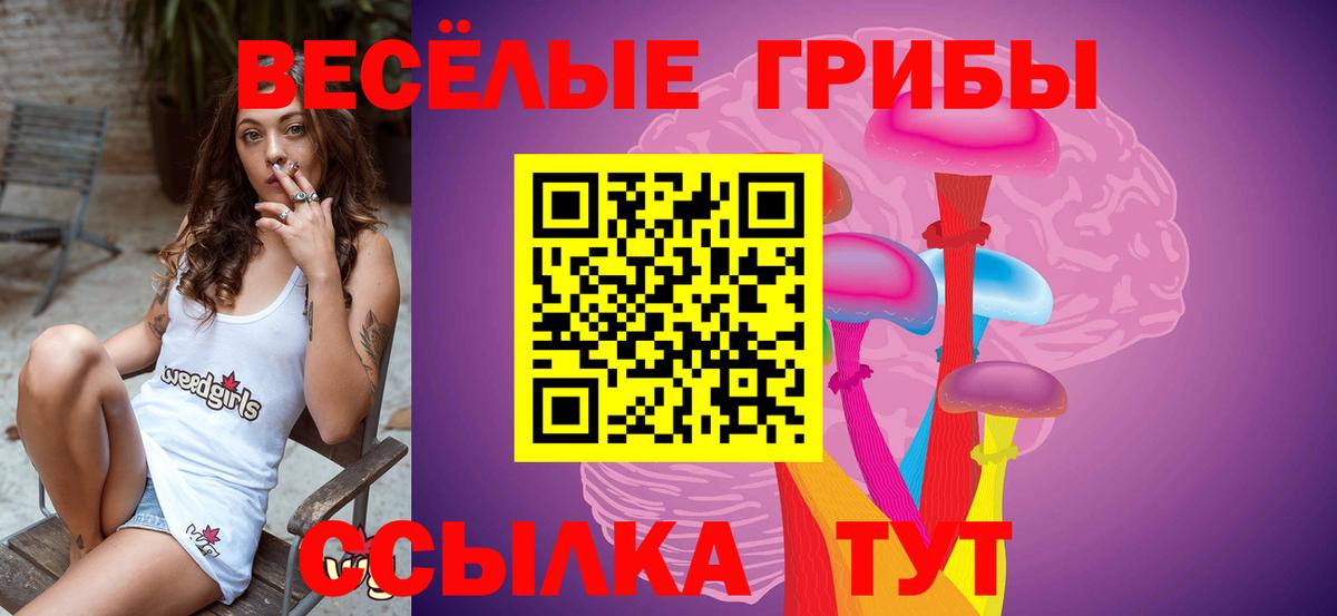 Галлюциногенные грибы Psilocybine cubensis Сосновый Бор